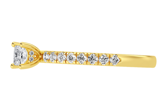 09988RG-050